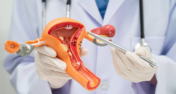 Kronik Endometrit Nedir? Belirtiler, Tanı Yöntemleri ve Tedavi