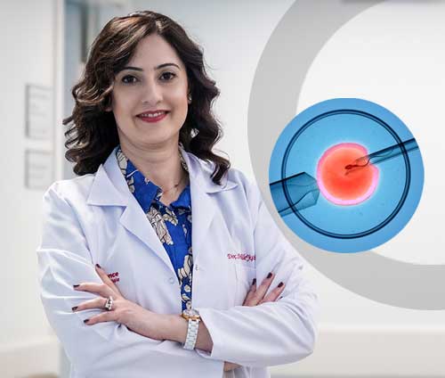 Tüp Bebek İstanbul