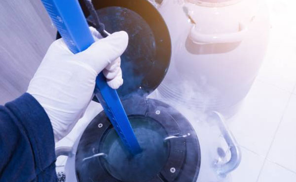 Donmuş Embriyo Transferi